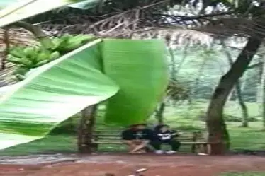 Pacaran Di Kebon Terekam